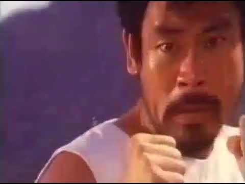 Wang Yu the destroyer- Final Fight