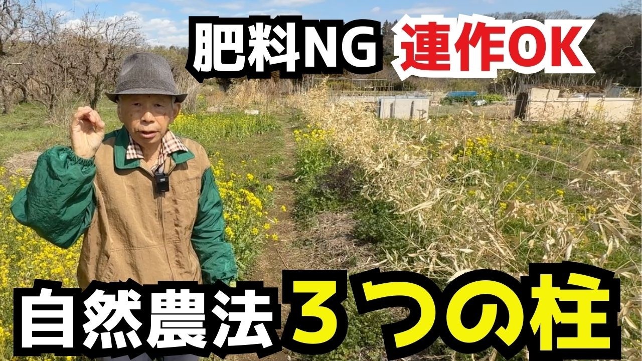 自然農法がうまくいかない人の共通点とは？【三つの柱】