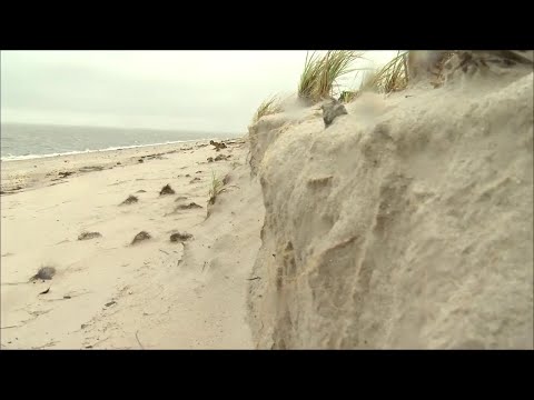 Remnants of hurricane Ian slams Slaughter Beach with 10 inches of rain, Delaware storm surge issues