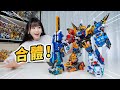合體機甲的浪漫 性價比的神 Miniforce Dinoid Warrior Great Rex Kaiser