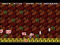 Super Mario Advance 4 Silver P Switch