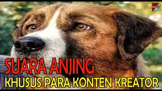 Download lagu Rintone Nada Dering Suara Anjing Galak Serem Suara... mp3
