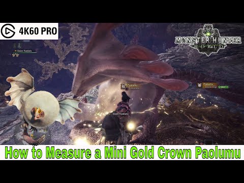 Monster Hunter: World - How to Measure a Mini Gold Crown Paolumu Video