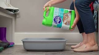 Cats Pride Lighten Your Life