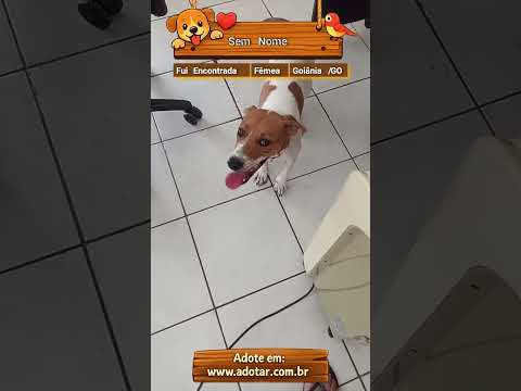 Vídeo de Sem Nome
