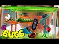 KIDS Real BUG Playground Watch Bugs Go Crazy EDUCATIONAL KIDS NATURE SHOW