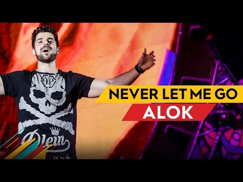 Never Let Me Go - Alok - Villa Mix Belo Horizonte 2017 ( Ao Vivo )