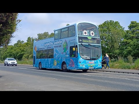 Buses at Pleasure Island (North Sea Lane) 29/05/23