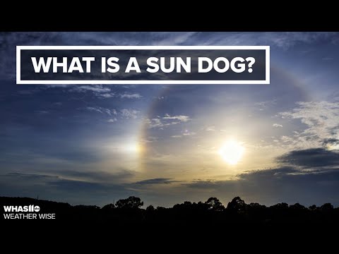 Sun dogs and halos | Weather Wise Lessons