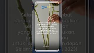 5 Ucapan Selamat Tahun Baru 2023 yang penuh Harapan, Dapat Dijadikan Caption di Sosial Media