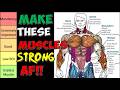 Top 20 Muscles That Men Must NEVER Allow To Be Weak Ranked Using Science