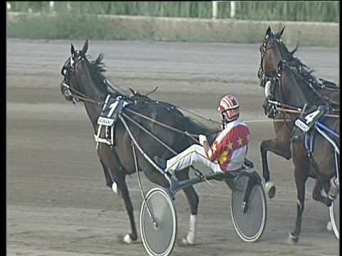 Trotto 15/06/2017 - 5ª corsa