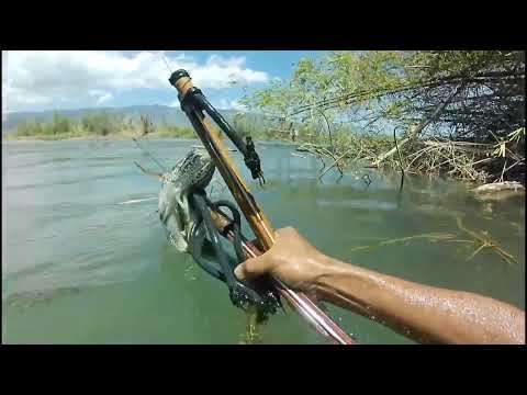 ISANG MALAKING DALAG AT IGAT AT MGA HIPON ANG NAHULI KO SA PANINISID.