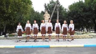 preview picture of video 'Ziua Independenţei 2013, marcată cu cântece în Cricova'