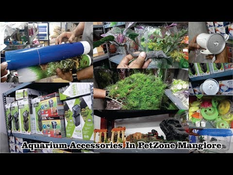 Types of aquarium accessories