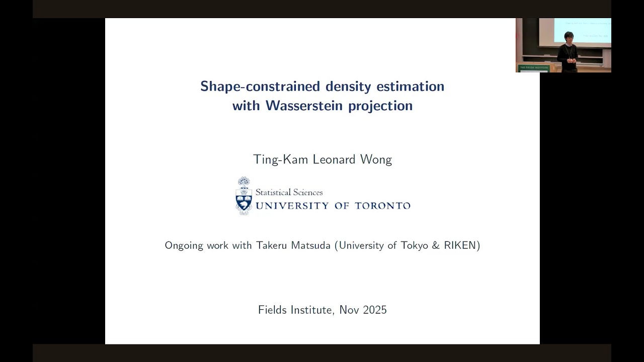 Shape-constrained density estimation with Wasserstein projection
