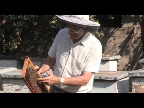 Boja meda ep. 39 04.12.2018. NAJAVA