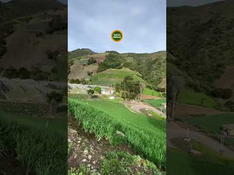 Municipio José María Vargas. Táchira. Venezuela 🇻🇪