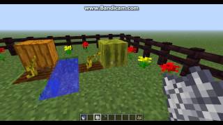 How to Grow Melons and Pumpkins in Minecraft