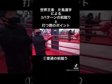 【ムエタイ王者解説】3パターンの前蹴りと、打つ際のポイント