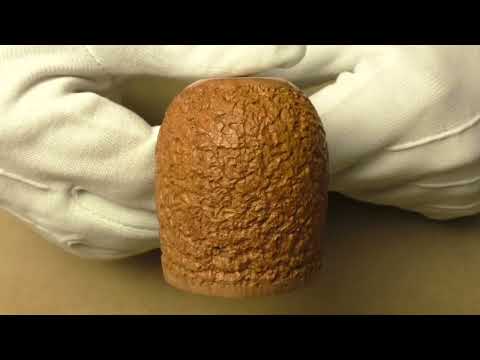 Ser Jacopo Delecta Spongia R2 Leonardo E - pipe 1803