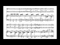 Franz Schubert - Piano trio in E flat major No.2, op.100 (w/ score)