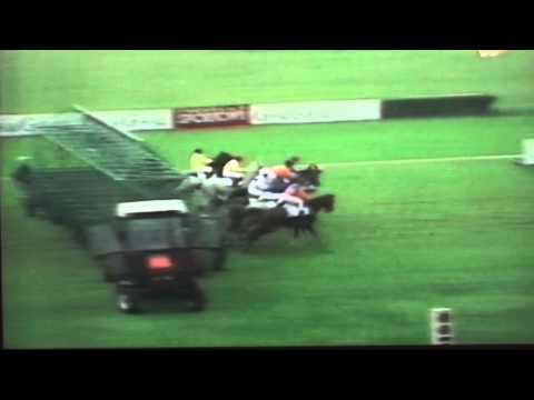 Nagroda Oaks - 8.09.1996 - Estelka (Wojsław - Estela)