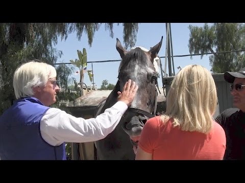 Arrogate is welcomed home