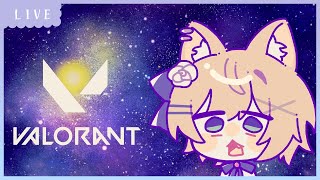 VALORANT│女子フルパ