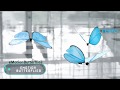 Robotic Butterfly | E motion butterfly