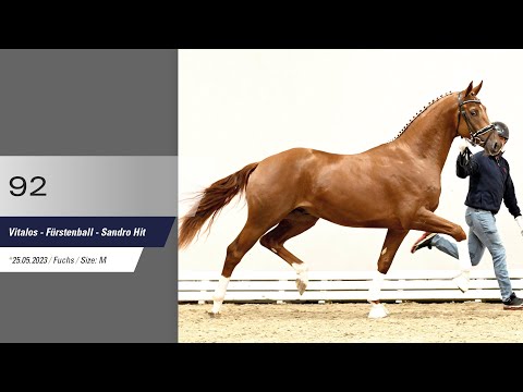 92 Hengst v Vitalos - Fürstenball