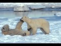 youtube com apres ski hey, wir wollen die Eisbaren ...