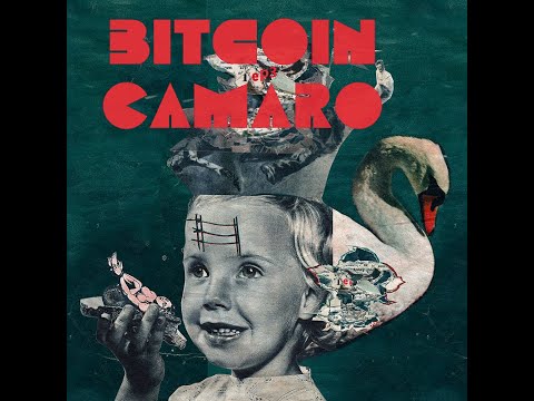 Bitcoin Camaro - 189 (Solicitor’s Complaint)