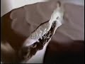 Nabisco Snackwell S Coconut Creme Cookies Commercial 2000