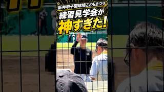 木浪・熊谷・中野選手が目の前に！甲子園練習見学会が神すぎた【阪神こどもまつり】 #shorts #阪神タイガース #木浪聖也 #中野拓夢 #熊谷敬宥
