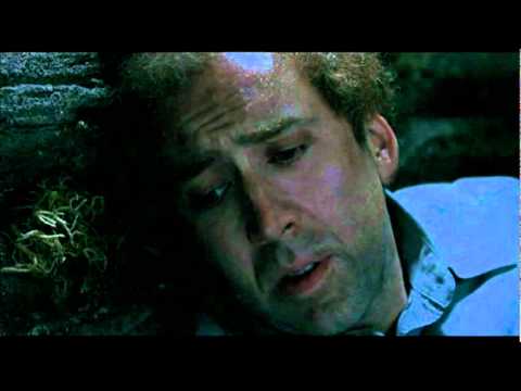 Adaptation (2002) - Donald Kauman talking about his love (English Version)
