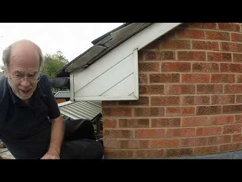 small shed Saturday #227 - up on the roof