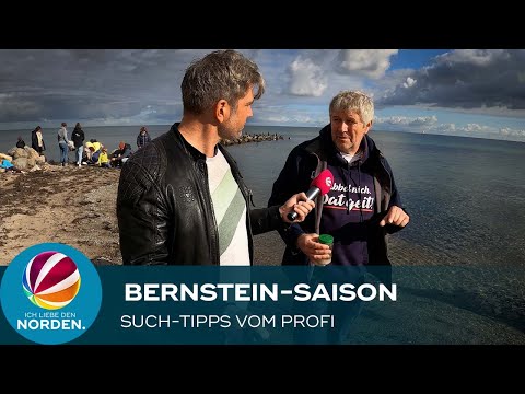 Bernstein-Saison: So ist die Suche garantiert erfolgreich