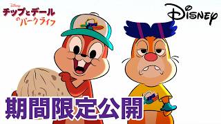 【期間限定無料公開】チップとデールのパークライフ | ありがた迷惑 ／ ビートルマニア ／ 持ち主は誰だ