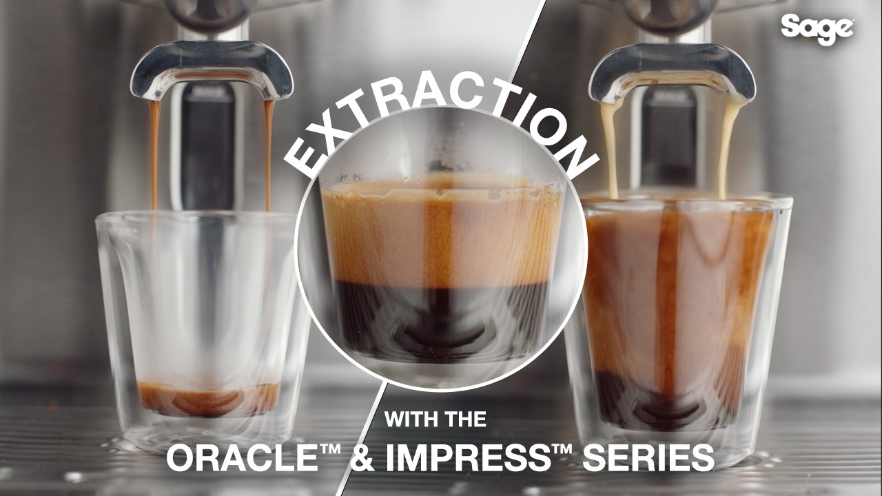 Ideal Coffee Extraction