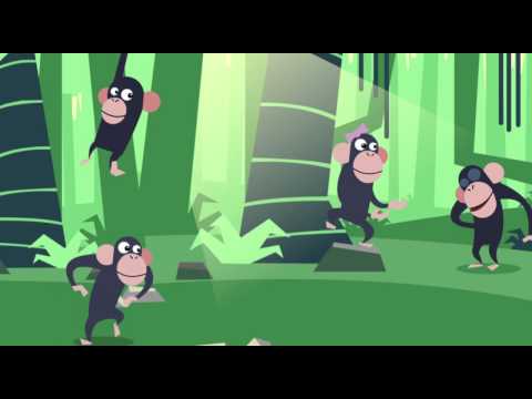 El Perro y el Gato: Chimpancé