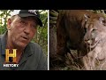 Troy Goes HEAD TO HEAD With Vicious Wildlife Swamp People Serpent Invasion Season 3
