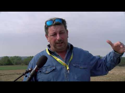 Vi spiego come funziona il contenimento dei cinghiali