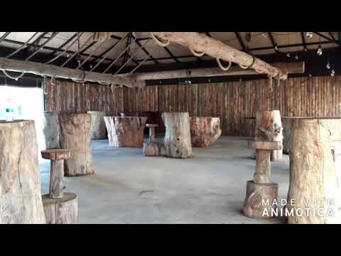 Plunge at  Uzunya Beach in the City of Istanbul
