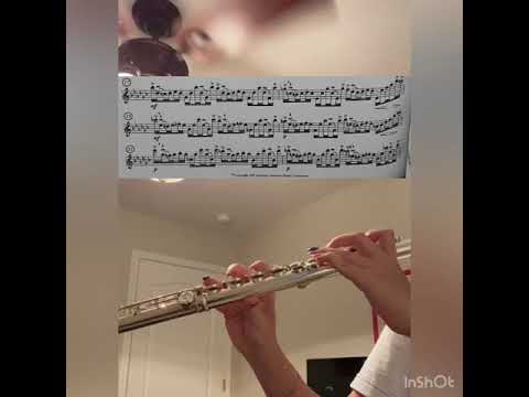 Eb Minor Joachim Andersen TMEA 2021-22 Flute Etude