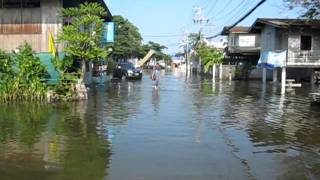 preview picture of video 'Тайские истории (наводнение 2). Thai stories, flood'