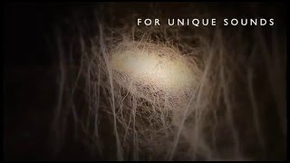 Video thumbnail for Spitfire Presents: Samuel Sim 'CHRYSALIS' by Spitfire Audio