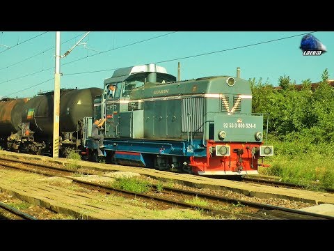 LDH 80-0524-6 & Marfare CFR MARFA Freight Trains in Gara Ploiesti Sud Station- 10 August 2017