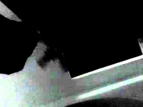 abdelkader chat. walaw yo3ajilo