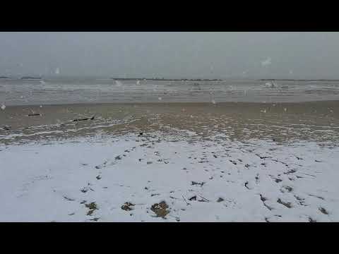Spiaggia di Porto D'Ascoli innevata, 26 febbraio